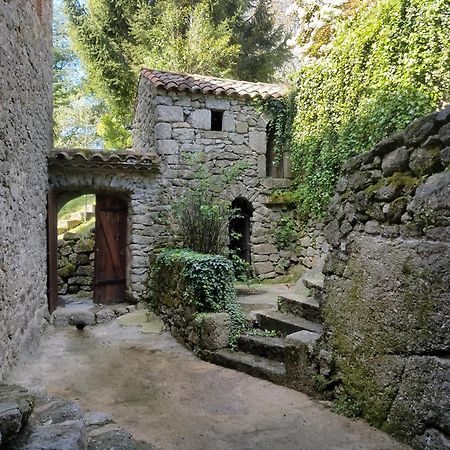 Gite Pommier Au Chateau Des Pauses Villa Saint-André-de-Majencoules Eksteriør billede